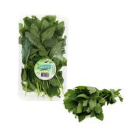 Menta Fresca Ecologic 30g