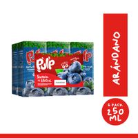 Sixpack Bebida Pulp Arándano Uva Botella 250ml