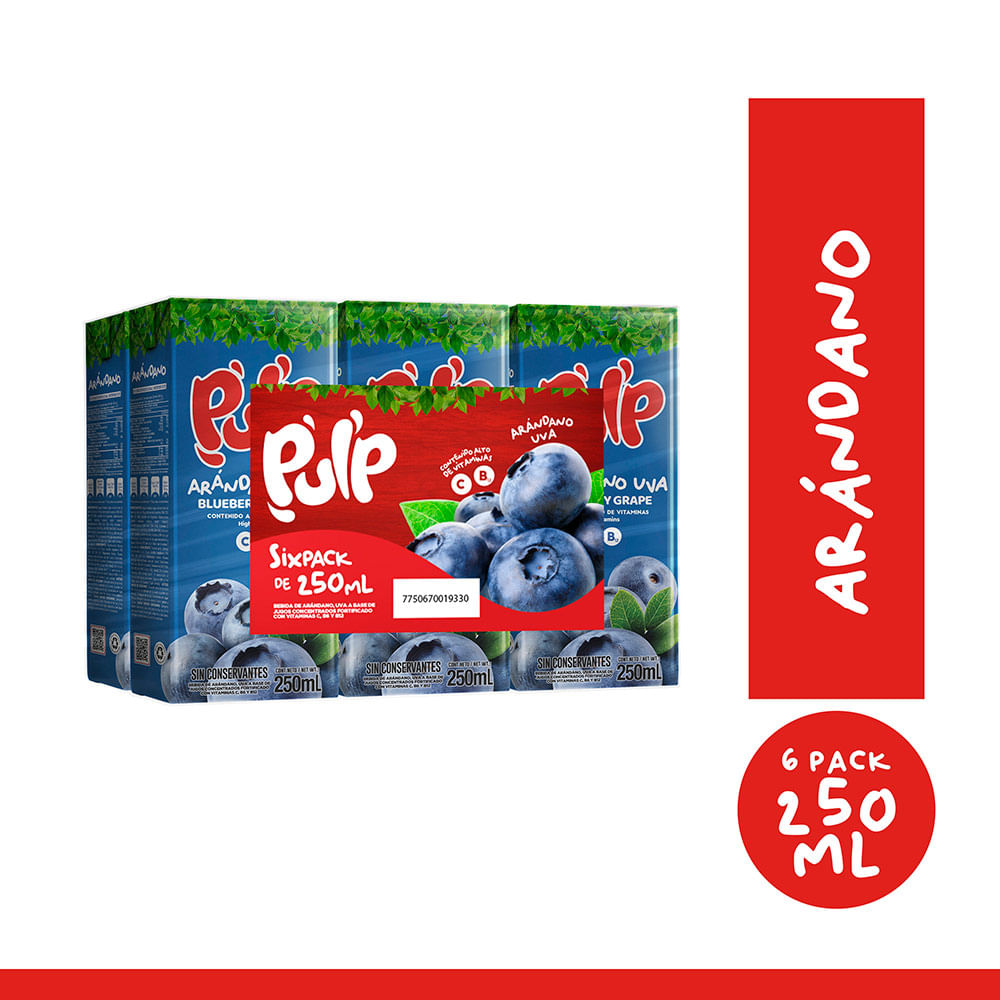 Sixpack Bebida Pulp Arándano Uva Botella 250ml