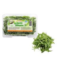 Arúgula Silvestre Ecologic 150g