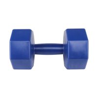 Set 2 Mancuernas Radost de 4 Kg.