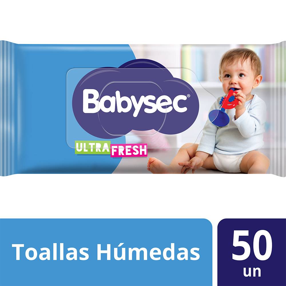 Toallitas Húmedas Babysec Baby Looney Paquete 50 unid