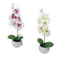 Orquídea Krea en Cerámica
