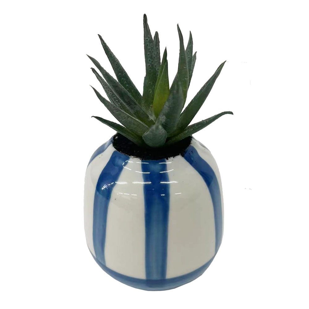 Suculenta Krea Cerámica Dolce Vita