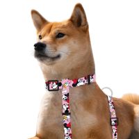 Harness Minnie & Daysi Pink Large
