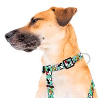 Harness Mickey y Amigos Green Small