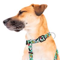 Harness Mickey y Amigos Green Medium