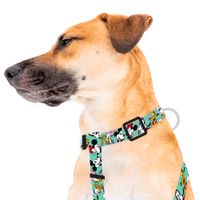 Harness Mickey y Amigos Green Large