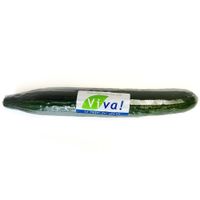 Pepino Viva un
