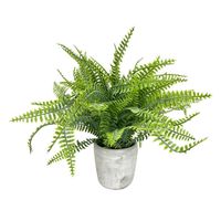 Planta en Maceta Krea 1