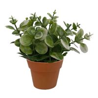 Planta en Maceta Krea 2