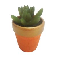 Suculenta Krea Sahara