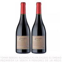 Twopack Vino Tinto Pinot Noir Escorihuela Gascón Botella 750ml