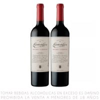 Twopack Vino Tinto Malbec Cabernet Escorihuela Gascón Botella 750ml