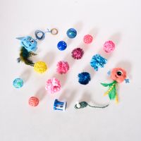 Pack Juguete Pet's Fun Gato 15 Piezas
