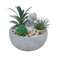 MIX SUCULENTAS CON BUDA 15CM