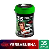 Chicles Sin Azúcar Trident Sabor Yerbabuena 45.5g