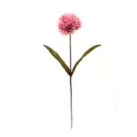 Flor de Tallo Mediano 66