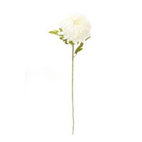 Flor de Tallo Mediano 70