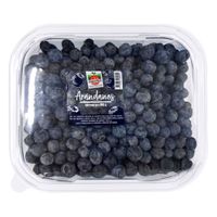 Arándanos Hortifrut 900g