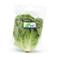 Lechuga Crespa Viva x un