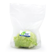 Lechuga Americana Viva x un