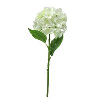 Hortensia Krea 47cm