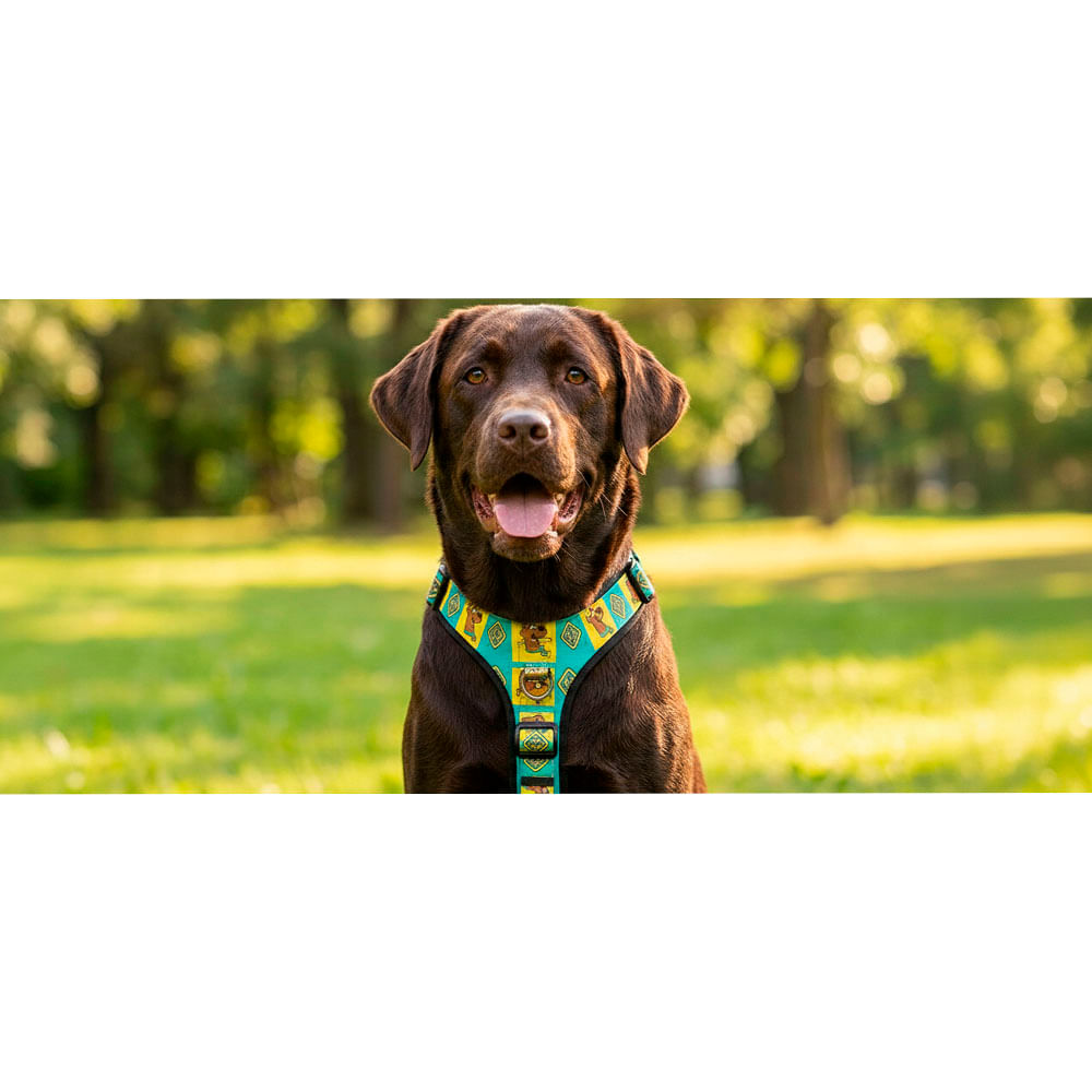 Arnés Scooby Doo Original Green Small