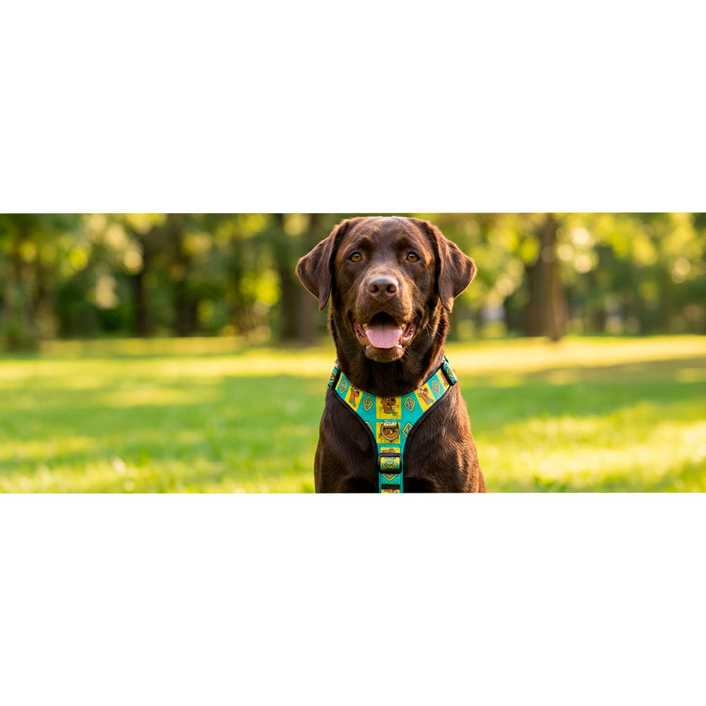 Arnés Scooby Doo Original Green Medium