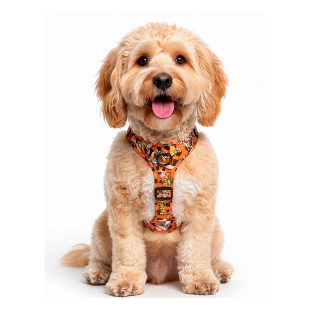 Arnés The Flinstones Spots Orange L