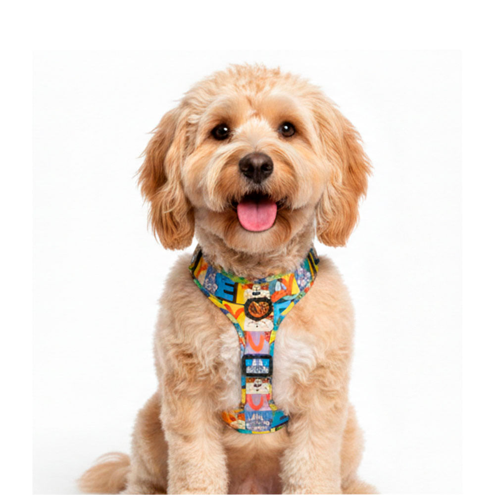 Arnés Looney Tunes Retro Black Small