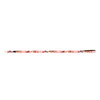 Collar Looney Tunes Acme Red Medium