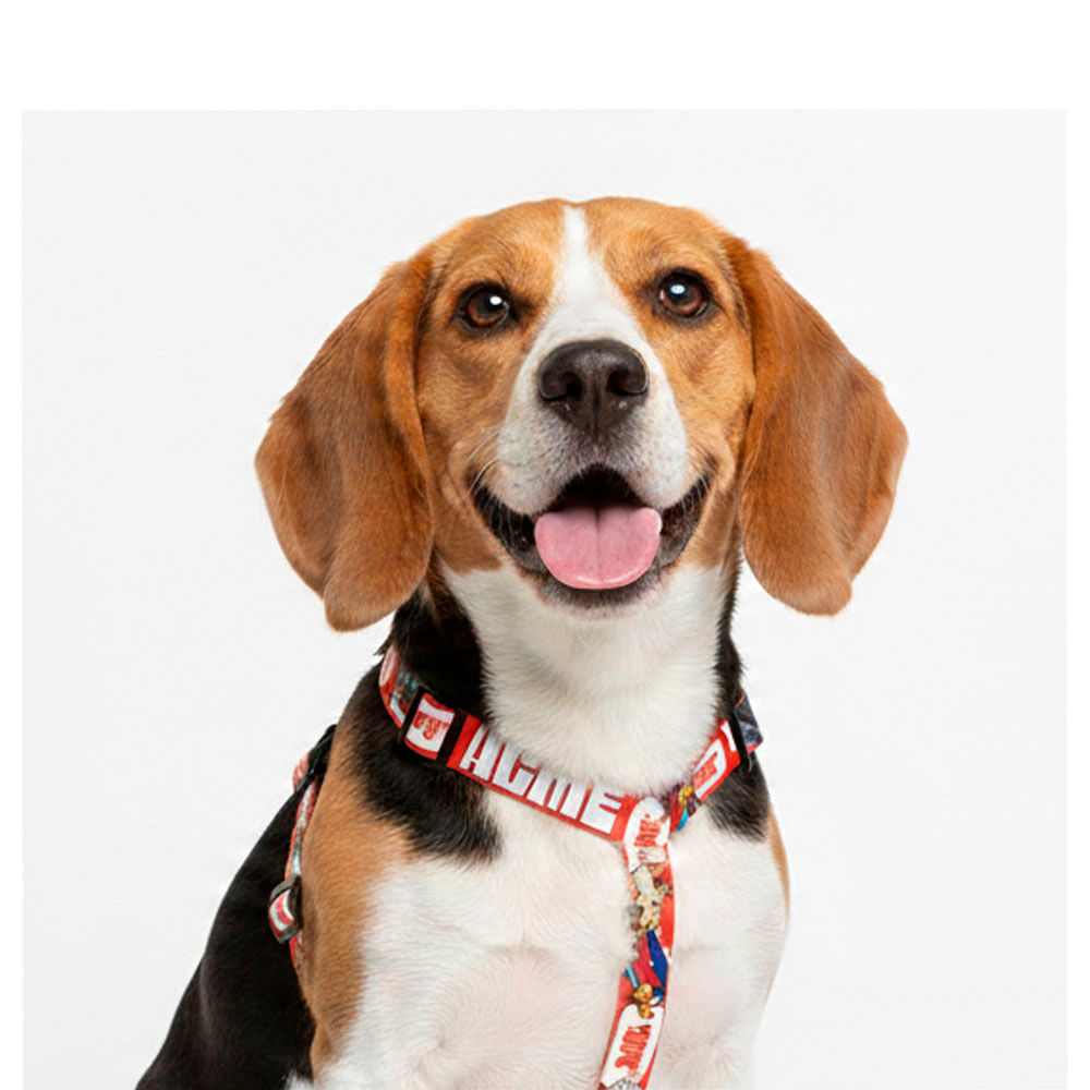 Arnés Looney Tunes Acme Red Small