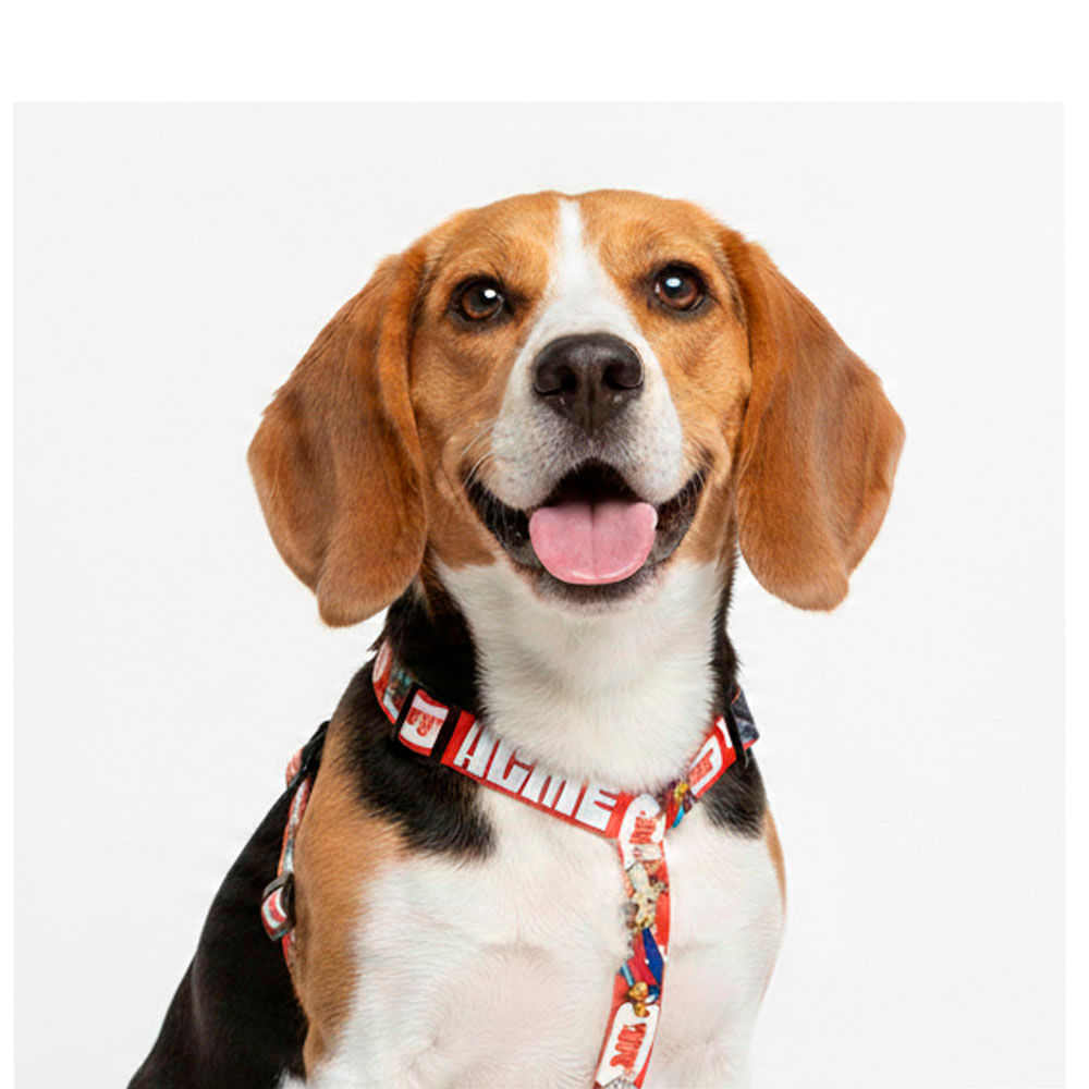 Arnés Looney Tunes Acme Red Medium