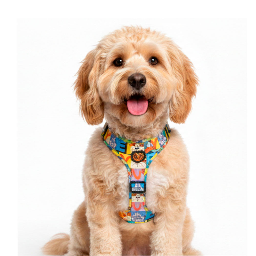 Arnés Looney Tunes Retro Black Large 1