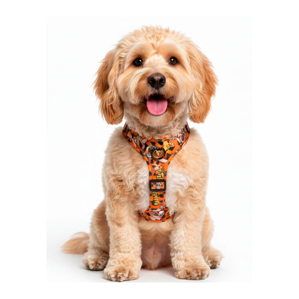 Arnés The Flinstones Spots Orange S