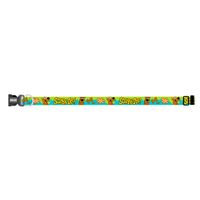 Collar Scooby Doo Original Green Large