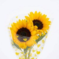 Ramo de Flores x un