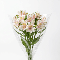 Ramo de Flores x un